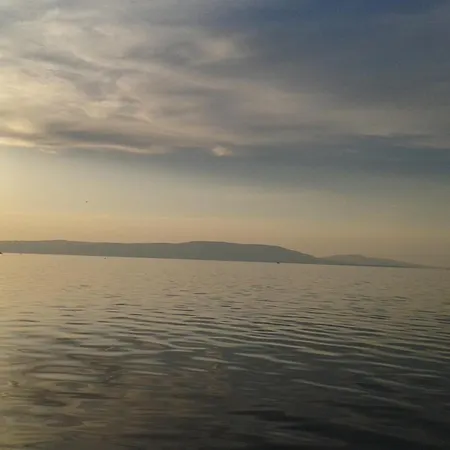 Fiorentina Balatonkeresztur